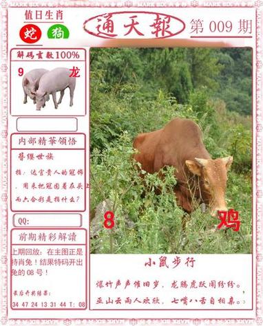 admin 第1407页