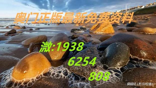 澳门内部正版资料推荐，澳门内部正版资料推荐今晚的