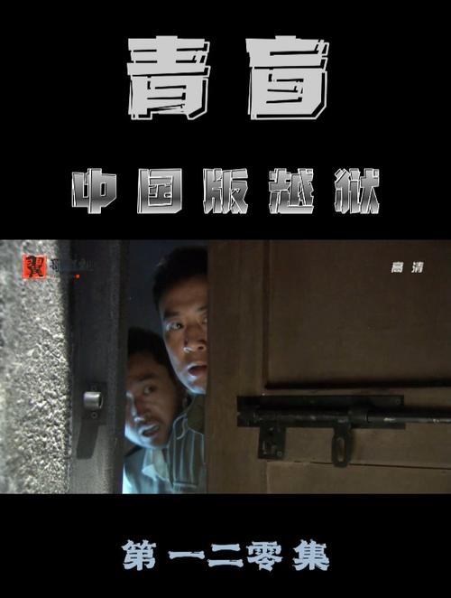 青盲全集在线高清免费观看，青盲全集在线高清免费观看