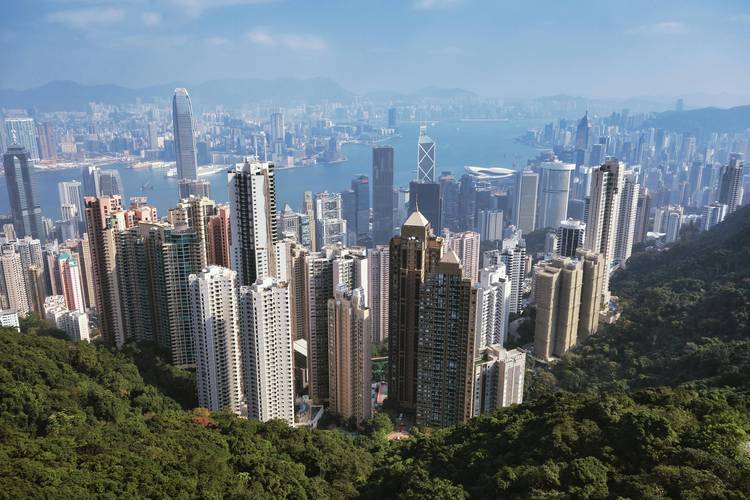 2024年香港现场直播开奖结果记录，2024年香港现场直播开奖结果记录查询