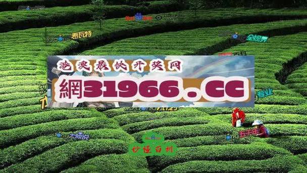 澳冂玄机网，澳彩玄机网