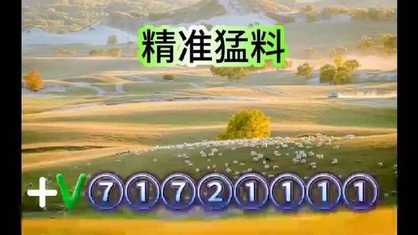 澳门彩猛料2肖4码，澳门彩猛料2肖4码有加微吗