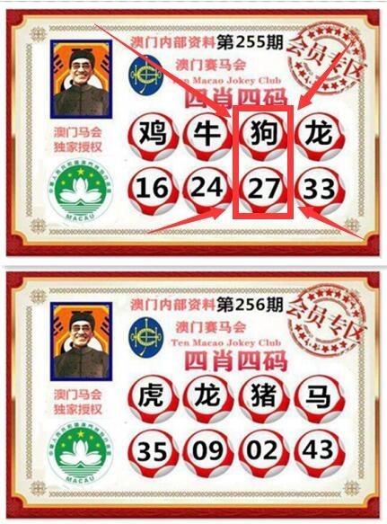 一肖一码免费公开一码一肖，一肖一码1