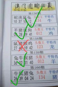 2024澳门资料正版大全小雪，新澳门精准四肖期期中特公开