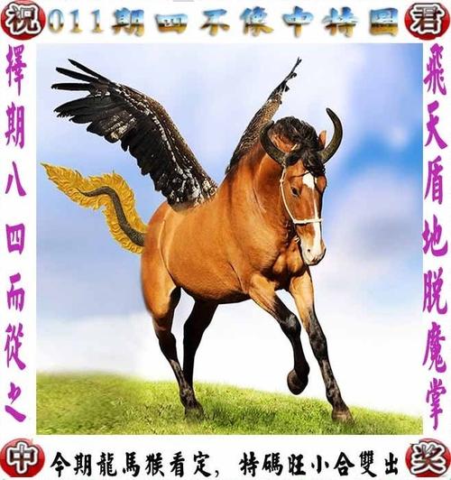 香港免费资料最准一码，香港免费资料最准一码是哪个网站