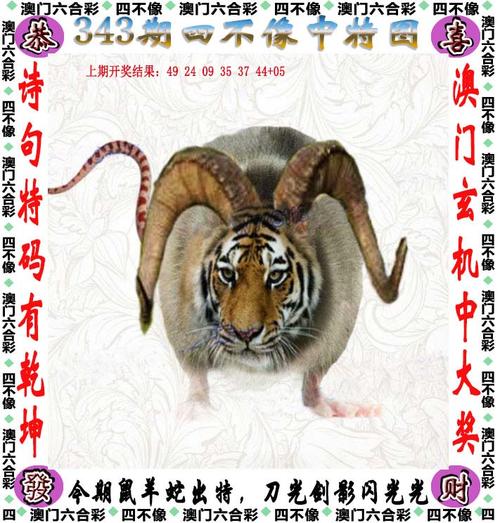 澳门四肖八码期期准网站