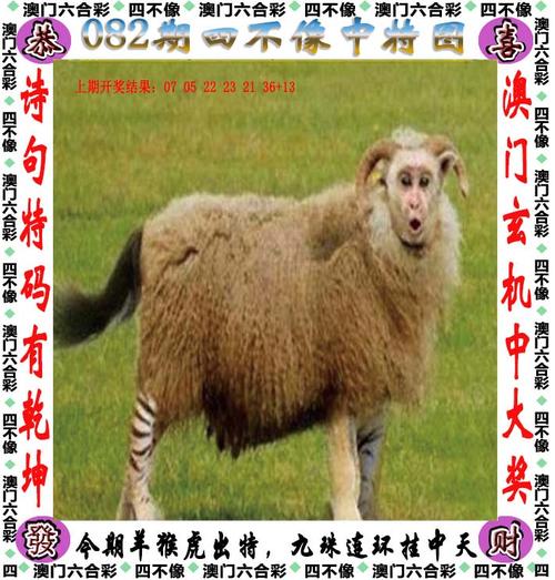 2024年澳门天天开彩免费精准资料