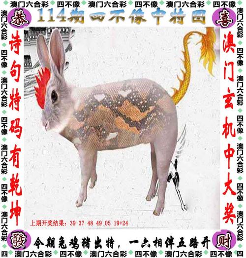 管家婆免费开奖大全内部码，管家婆最准开奖报码