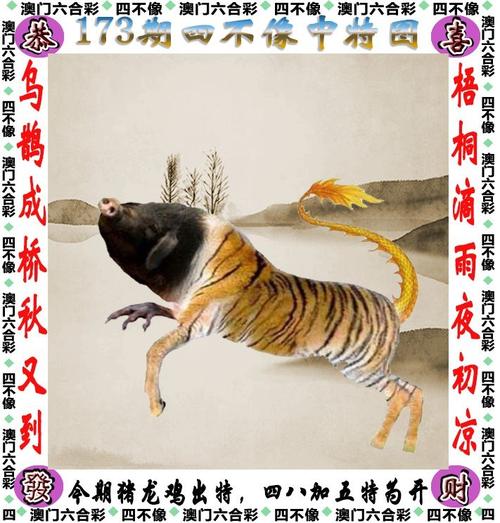 港澳六开彩开奖号码记录105，港澳六开彩开奖号码记录第96