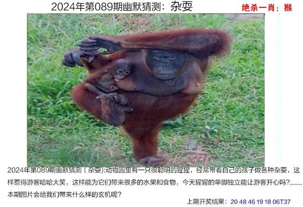 今晚澳门特马今晚开什么生肖呢，澳门今晚特马开什么号