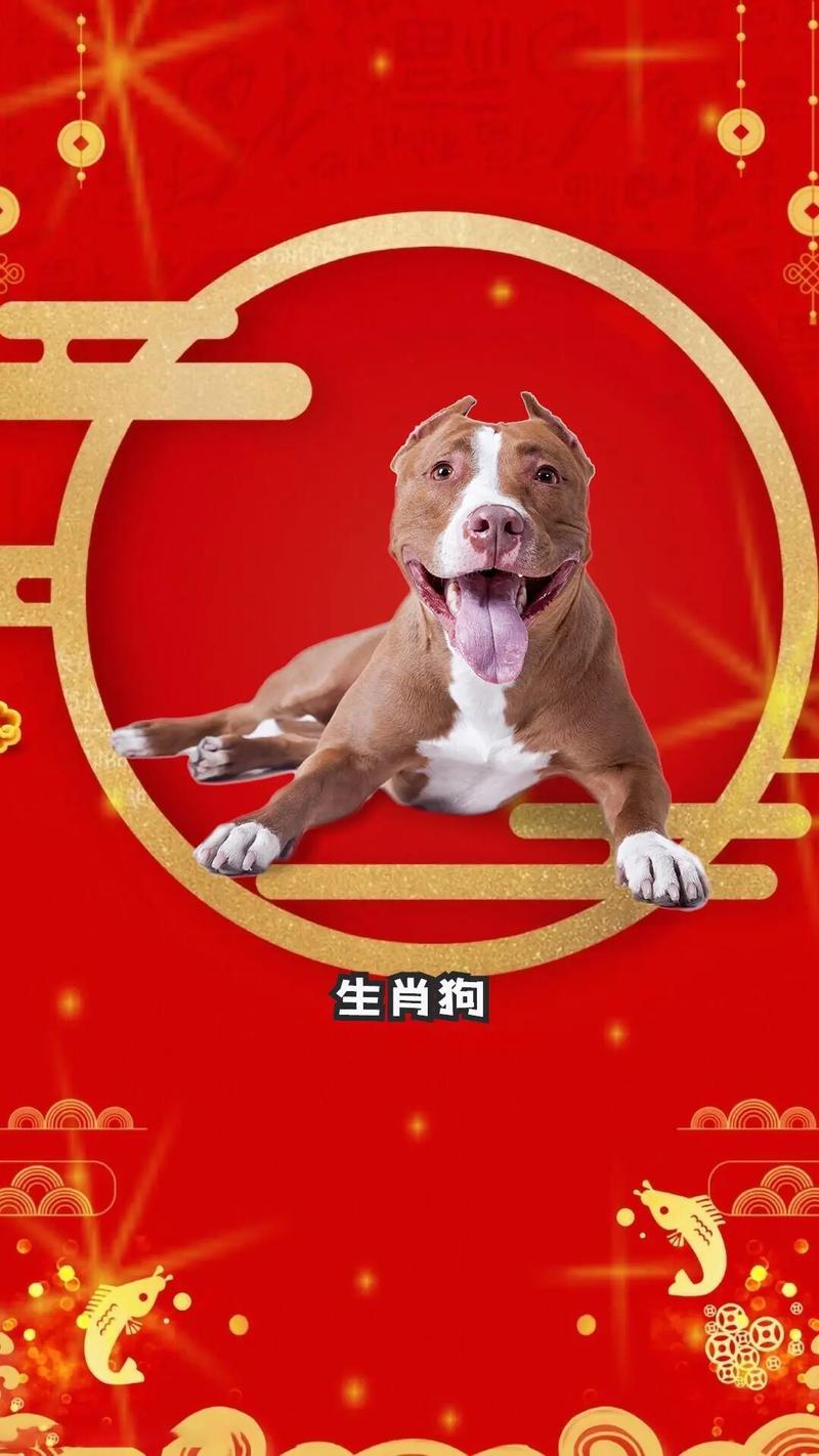 卡车航班 第74页