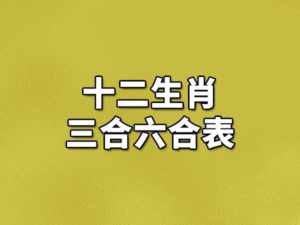 香港是特马猜一生肖