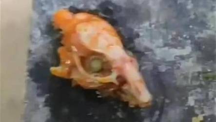 婴儿面粉有死鼠，婴儿面粉有死鼠味正常吗