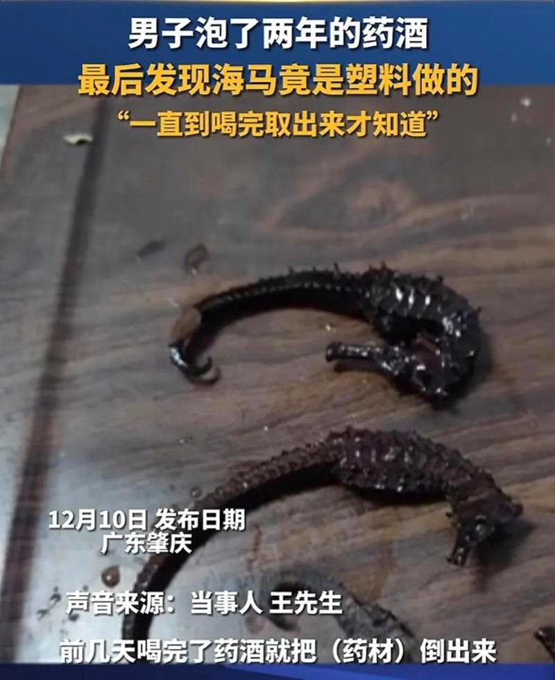 泡7年药酒海马是塑料，海马药酒泡了很多年能喝吗