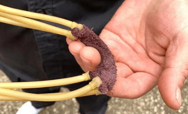 用弹弓击杀保护动物，用弹弓击杀保护动物犯法吗
