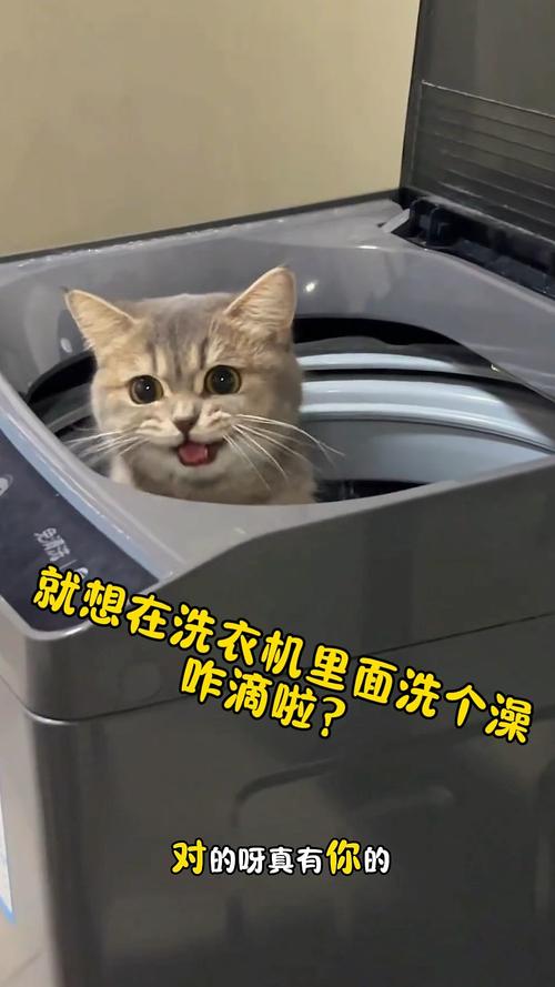 物流常识 第45页