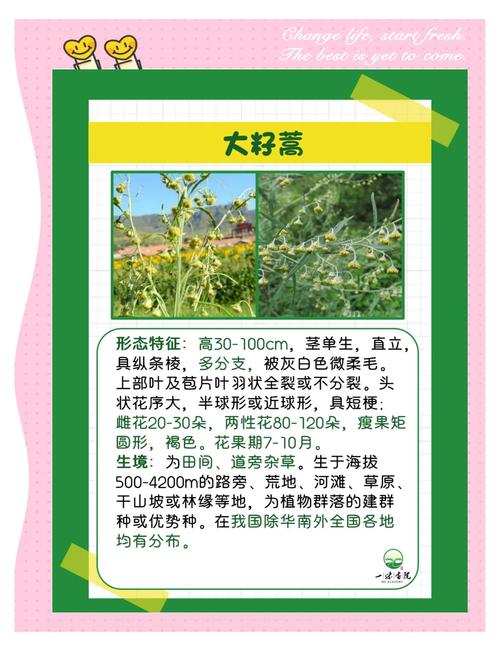 花粉过敏元凶是树，花粉过敏是什么树