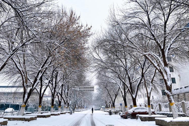 北京下雪，北京下雪了
