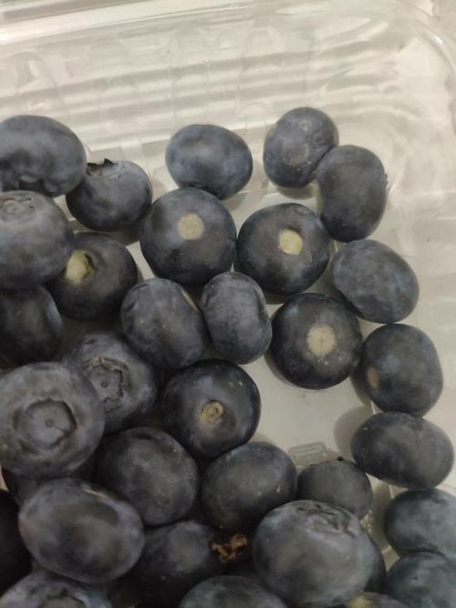 蓝莓肚脐眼里的霉菌，蓝莓肚脐眼里的霉菌能吃吗