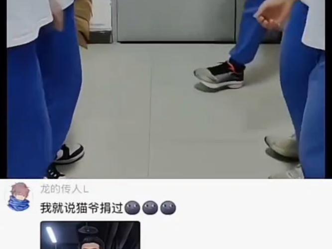 网红猫爷涨粉近70万，网红猫爷是谁